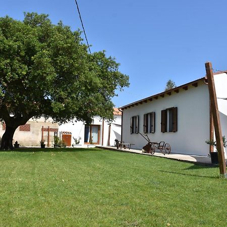 Il Vecchio Casale B&B Sedini Exterior foto